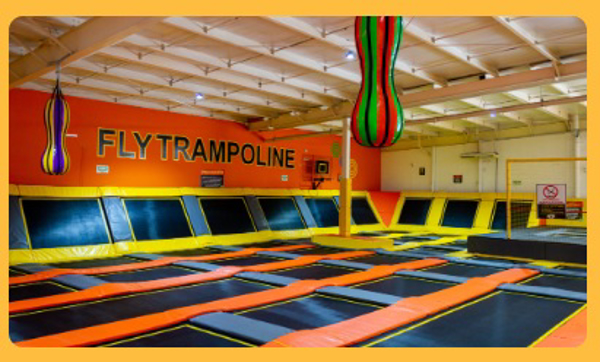 Franquicia Fly Trampoline Park